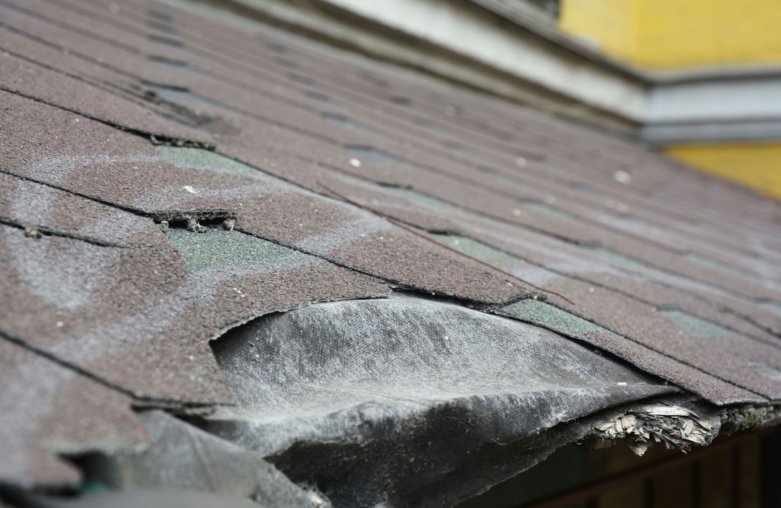 Fireline Roofing & Restoration Images