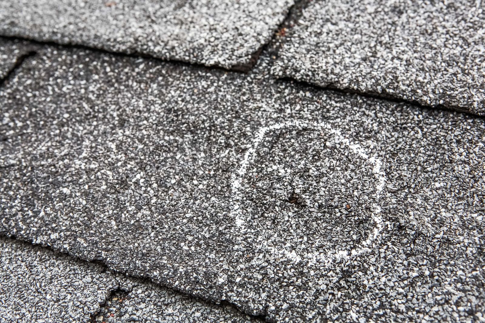 Fireline Roofing & Restoration Images