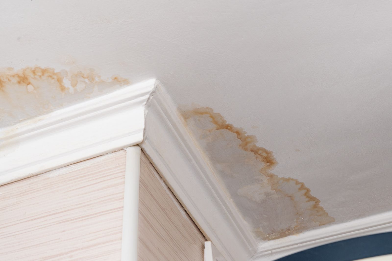 Fireline Roofing & Restoration Images
