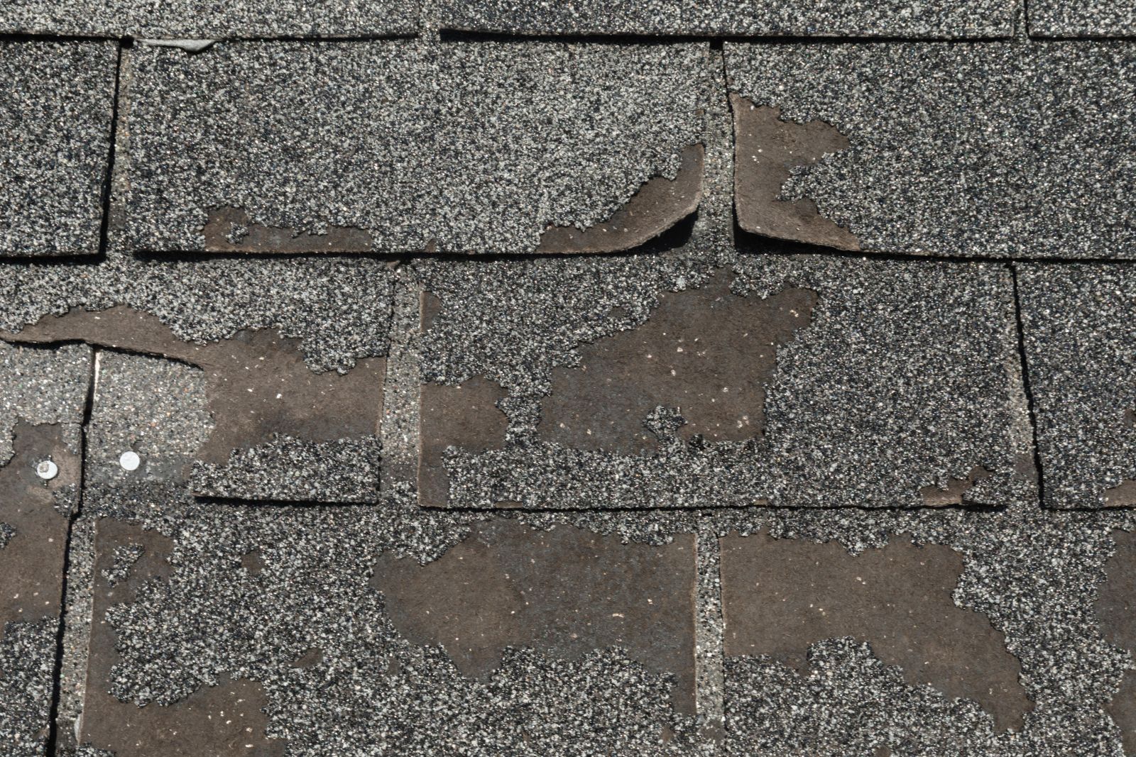 Fireline Roofing & Restoration Images